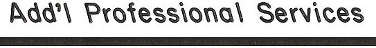 Additional Professional Services
